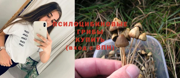 гидропоника Беломорск