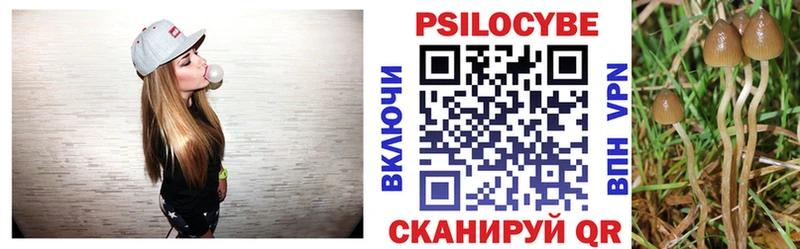как найти наркотики  Кузнецк  Галлюциногенные грибы Cubensis 
